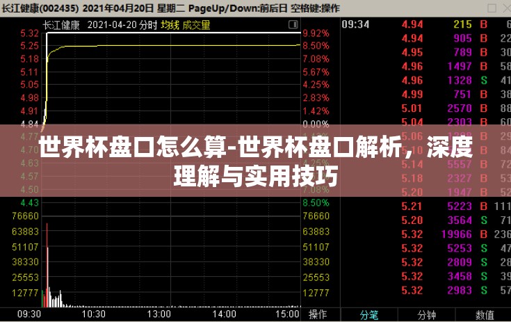 世界杯盘口怎么算-世界杯盘口解析，深度理解与实用技巧
