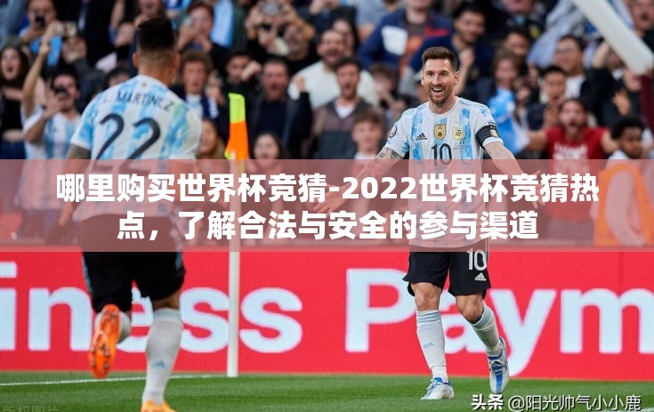 哪里购买世界杯竞猜-2022世界杯竞猜热点，了解合法与安全的参与渠道