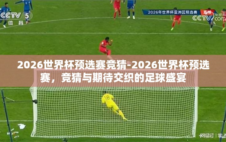 2026世界杯预选赛竞猜-2026世界杯预选赛，竞猜与期待交织的足球盛宴