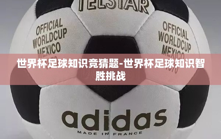 世界杯足球知识竞猜题-世界杯足球知识智胜挑战