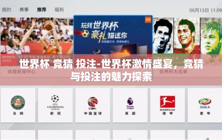 世界杯 竞猜 投注-世界杯激情盛宴，竞猜与投注的魅力探索