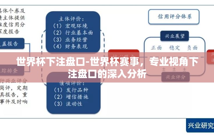 世界杯下注盘口-世界杯赛事，专业视角下注盘口的深入分析