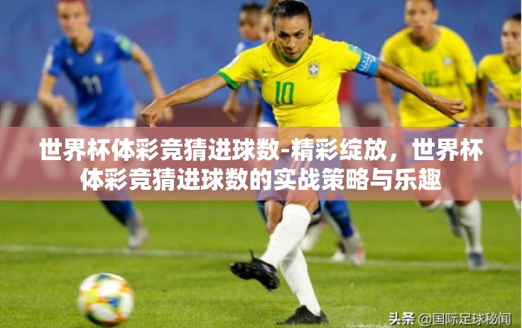 世界杯体彩竞猜进球数-精彩绽放，世界杯体彩竞猜进球数的实战策略与乐趣