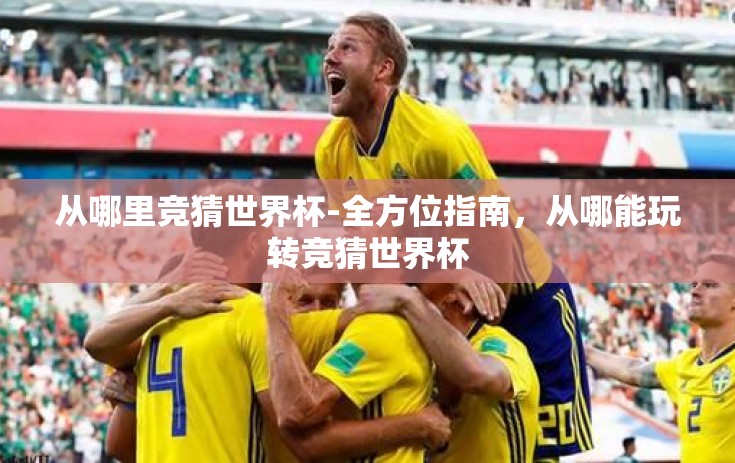 从哪里竞猜世界杯-全方位指南，从哪能玩转竞猜世界杯