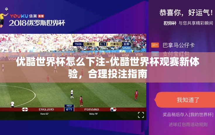 优酷世界杯怎么下注-优酷世界杯观赛新体验，合理投注指南