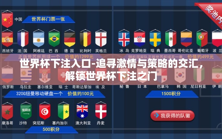 世界杯下注入口-追寻激情与策略的交汇，解锁世界杯下注之门