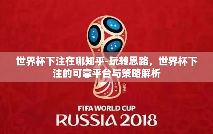 世界杯下注在哪知乎-玩转思路，世界杯下注的可靠平台与策略解析