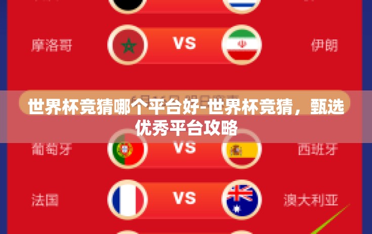 世界杯竞猜哪个平台好-世界杯竞猜，甄选优秀平台攻略