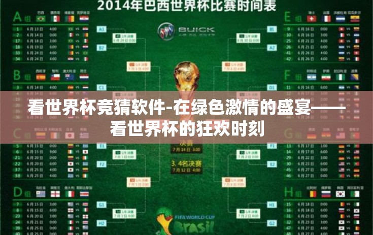 看世界杯竞猜软件-在绿色激情的盛宴——看世界杯的狂欢时刻