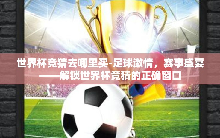 世界杯竞猜去哪里买-足球激情，赛事盛宴——解锁世界杯竞猜的正确窗口