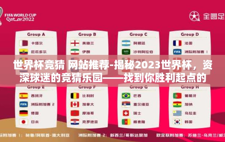 世界杯竞猜 网站推荐-揭秘2023世界杯，资深球迷的竞猜乐园——找到你胜利起点的网站指南