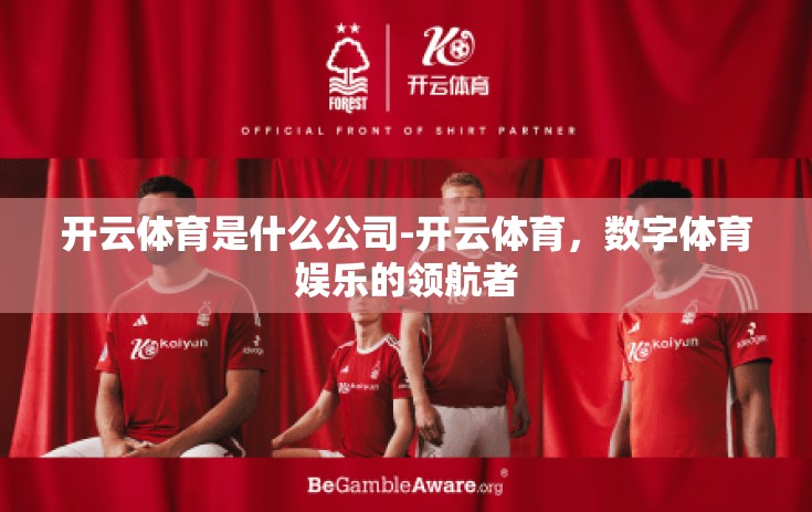 开云体育是什么公司-开云体育，数字体育娱乐的领航者