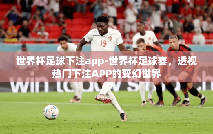 世界杯足球下注app-世界杯足球赛，透视热门下注APP的变幻世界